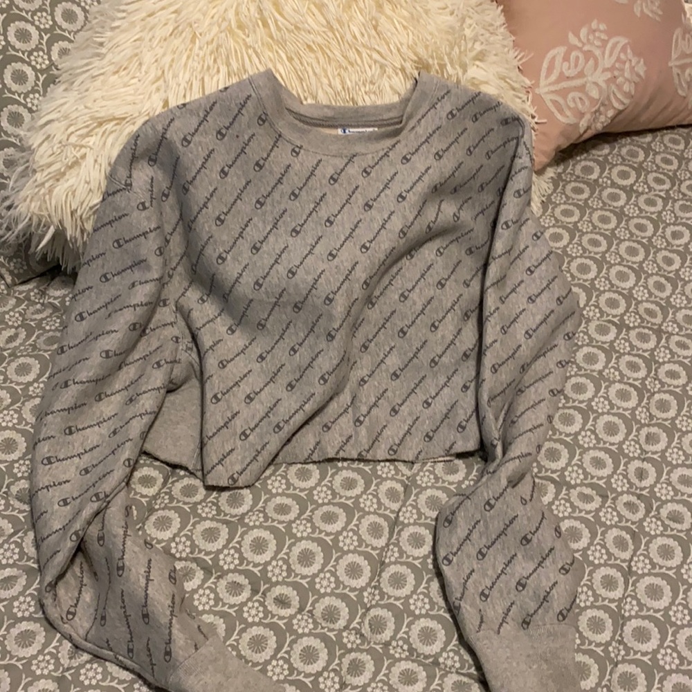 Champion sweatshirt